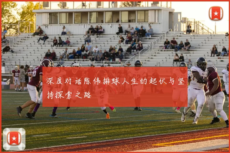 深度对话陈伟排球人生的起伏与坚持探索之路
