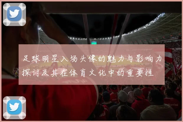 足球明星入场头像的魅力与影响力探讨及其在体育文化中的重要性