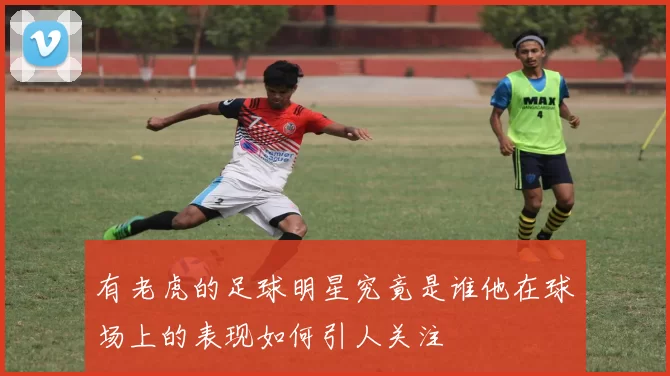 有老虎的足球明星究竟是谁他在球场上的表现如何引人关注
