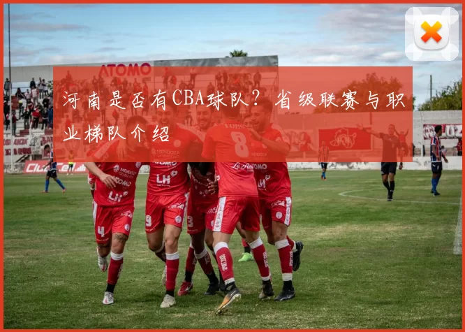 河南是否有CBA球队？省级联赛与职业梯队介绍