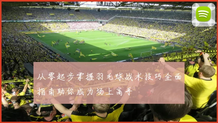 从零起步掌握羽毛球战术技巧全面指南助你成为场上高手