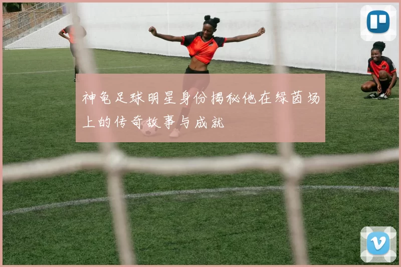 神龟足球明星身份揭秘他在绿茵场上的传奇故事与成就