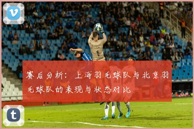 赛后分析：上海羽毛球队与北京羽毛球队的表现与状态对比