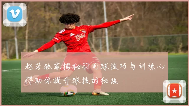 赵芳独家揭秘羽毛球技巧与训练心得助你提升球技的秘诀