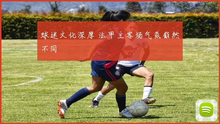 球迷文化深厚 法甲主客场气氛截然不同