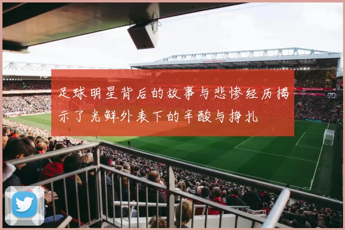 足球明星背后的故事与悲惨经历揭示了光鲜外表下的辛酸与挣扎