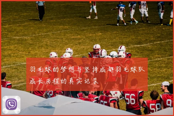 羽毛球的梦想与坚持成都羽毛球队成长历程的真实记录