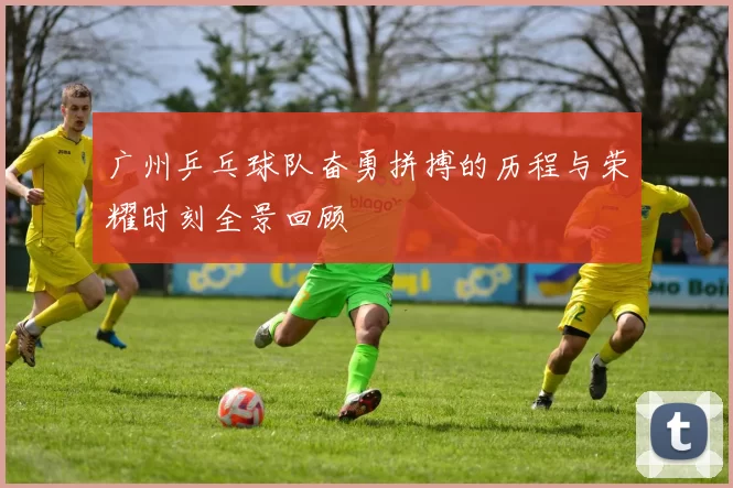 广州乒乓球队奋勇拼搏的历程与荣耀时刻全景回顾