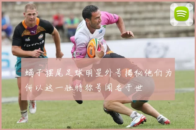 蝎子摆尾足球明星外号揭秘他们为何以这一独特称号闻名于世