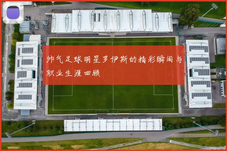 帅气足球明星罗伊斯的精彩瞬间与职业生涯回顾