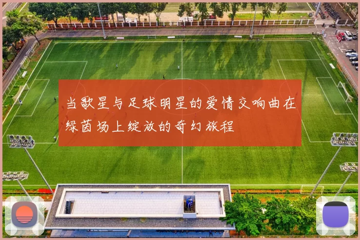 当歌星与足球明星的爱情交响曲在绿茵场上绽放的奇幻旅程