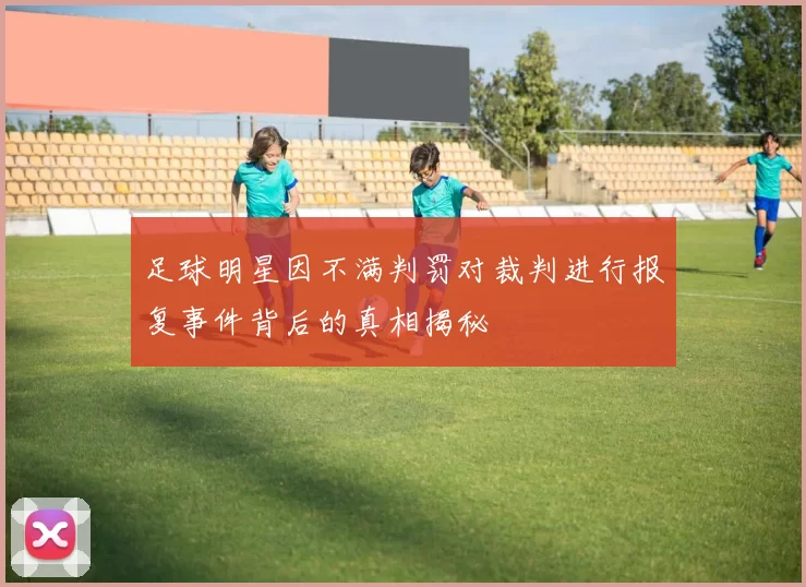 足球明星因不满判罚对裁判进行报复事件背后的真相揭秘
