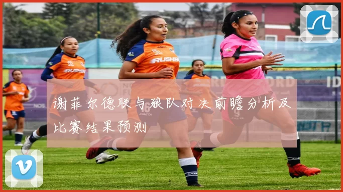 谢菲尔德联与狼队对决前瞻分析及比赛结果预测