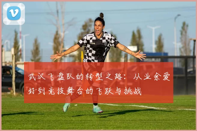 武汉飞盘队的转型之路：从业余爱好到竞技舞台的飞跃与挑战