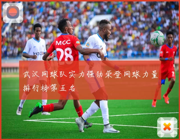 武汉网球队实力强劲荣登网球力量排行榜第五名