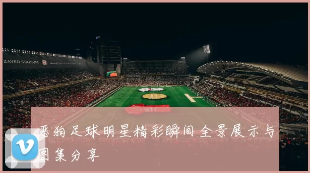 恶狗足球明星精彩瞬间全景展示与图集分享
