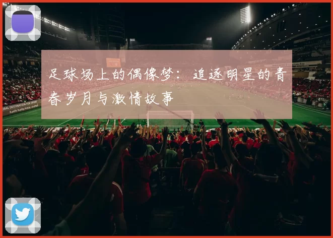 足球场上的偶像梦：追逐明星的青春岁月与激情故事