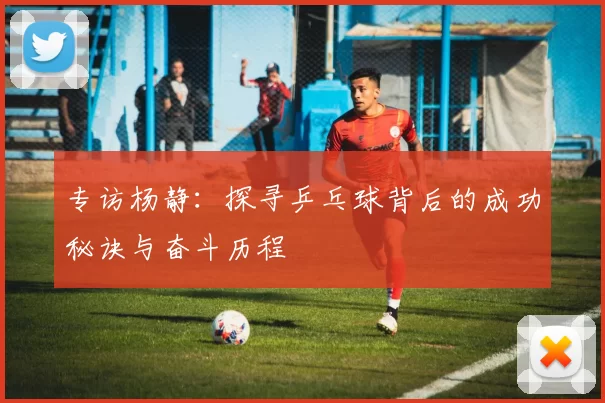 专访杨静：探寻乒乓球背后的成功秘诀与奋斗历程