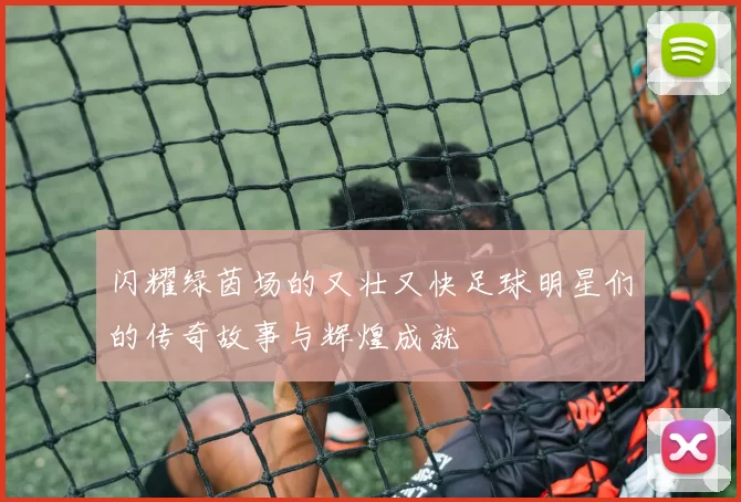 闪耀绿茵场的又壮又快足球明星们的传奇故事与辉煌成就
