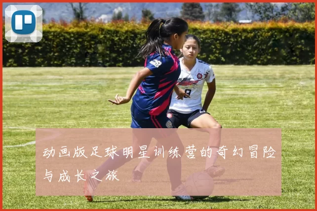 动画版足球明星训练营的奇幻冒险与成长之旅