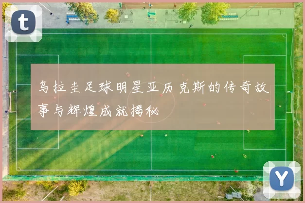 乌拉圭足球明星亚历克斯的传奇故事与辉煌成就揭秘