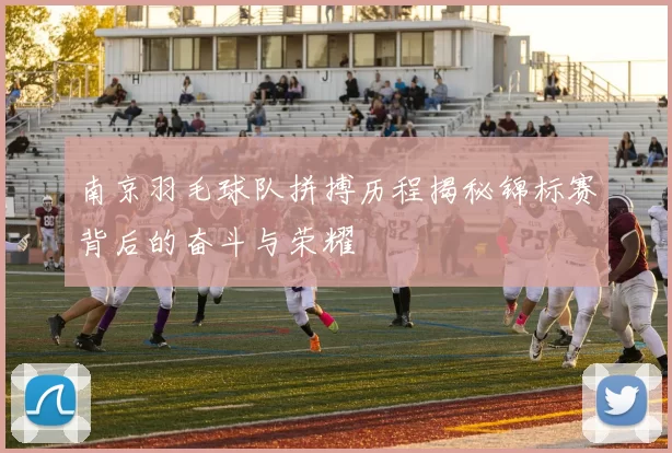 南京羽毛球队拼搏历程揭秘锦标赛背后的奋斗与荣耀