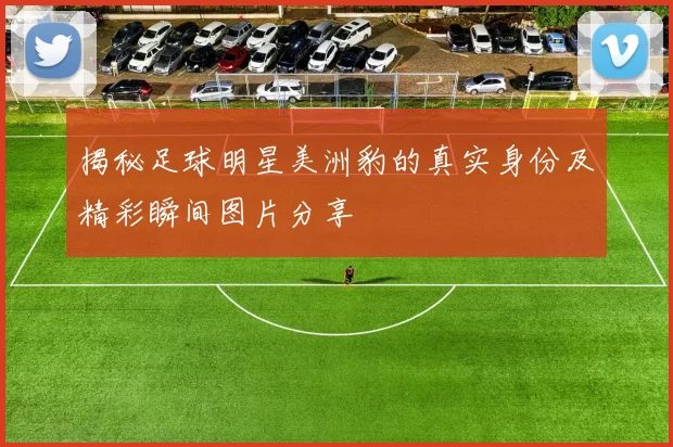揭秘足球明星美洲豹的真实身份及精彩瞬间图片分享