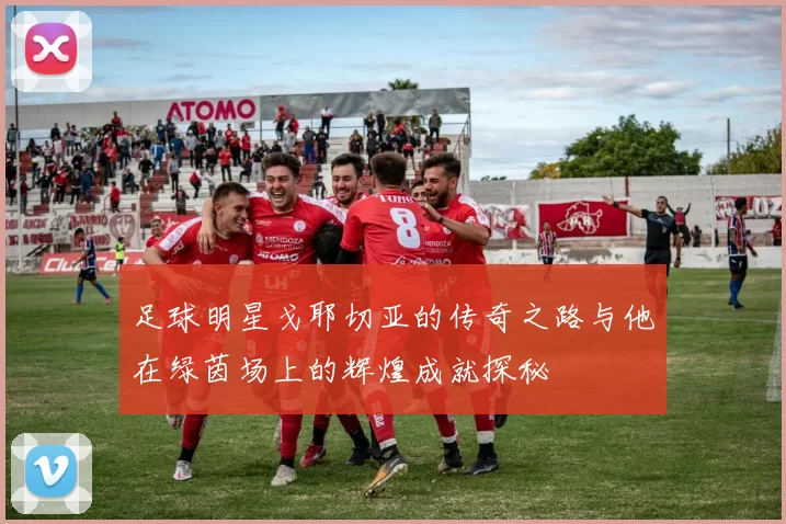 足球明星戈耶切亚的传奇之路与他在绿茵场上的辉煌成就探秘