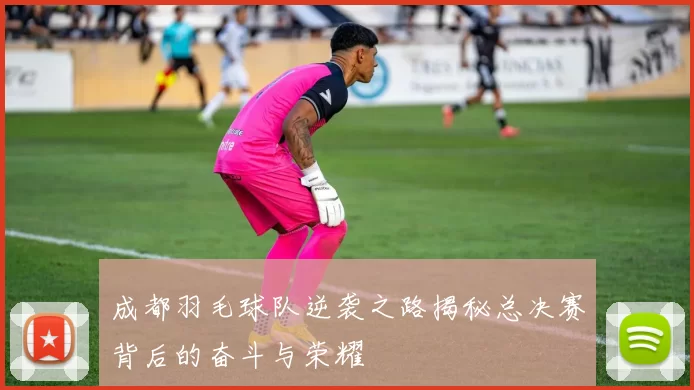 成都羽毛球队逆袭之路揭秘总决赛背后的奋斗与荣耀