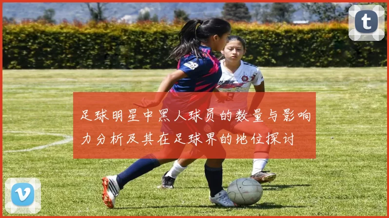 足球明星中黑人球员的数量与影响力分析及其在足球界的地位探讨