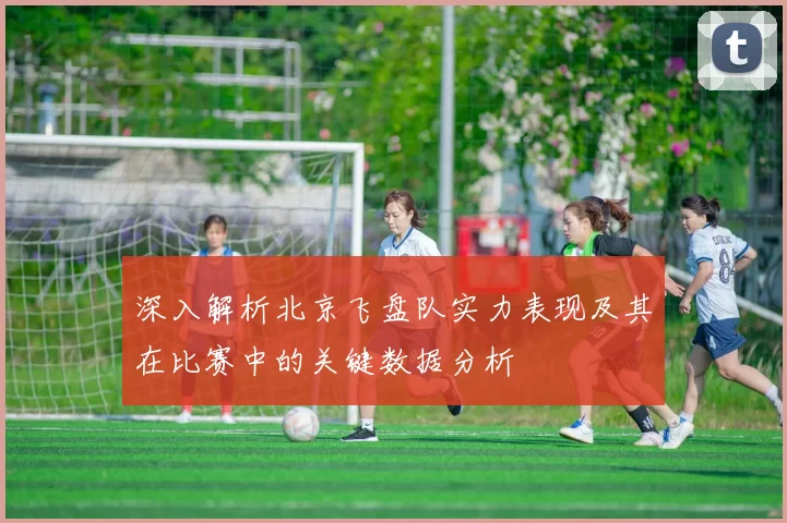 深入解析北京飞盘队实力表现及其在比赛中的关键数据分析