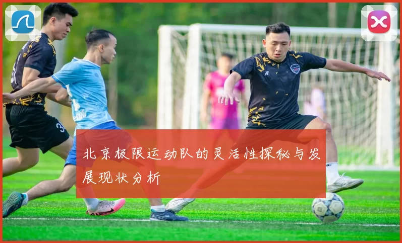 北京极限运动队的灵活性探秘与发展现状分析