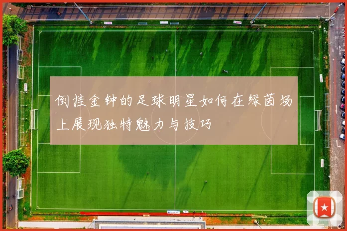 倒挂金钟的足球明星如何在绿茵场上展现独特魅力与技巧